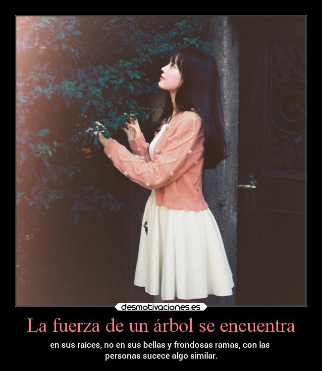 La fuerza de un árbol se encuentra - 