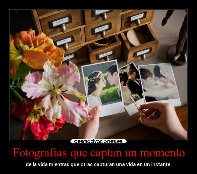 Fotografías que captan un momento -