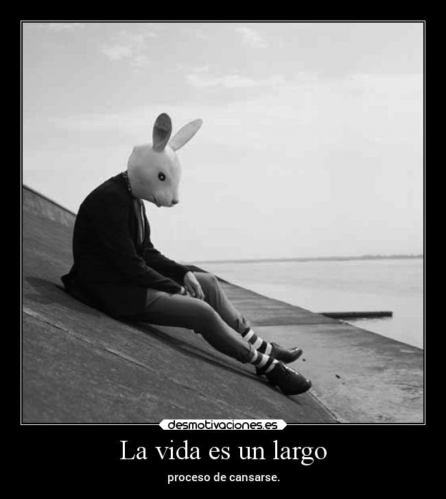 La vida es un largo -