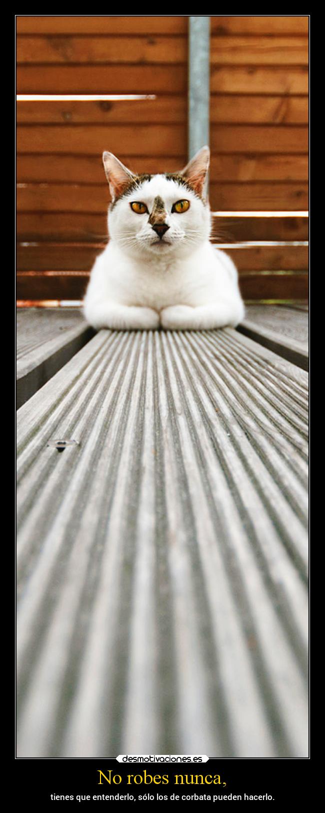 carteles vida robar ladrones economia politicos gatofeoborrachoyenwaltkeado desmotivaciones