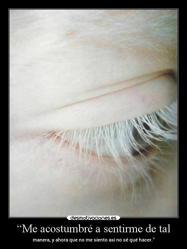 “Me acostumbré a sentirme de tal -