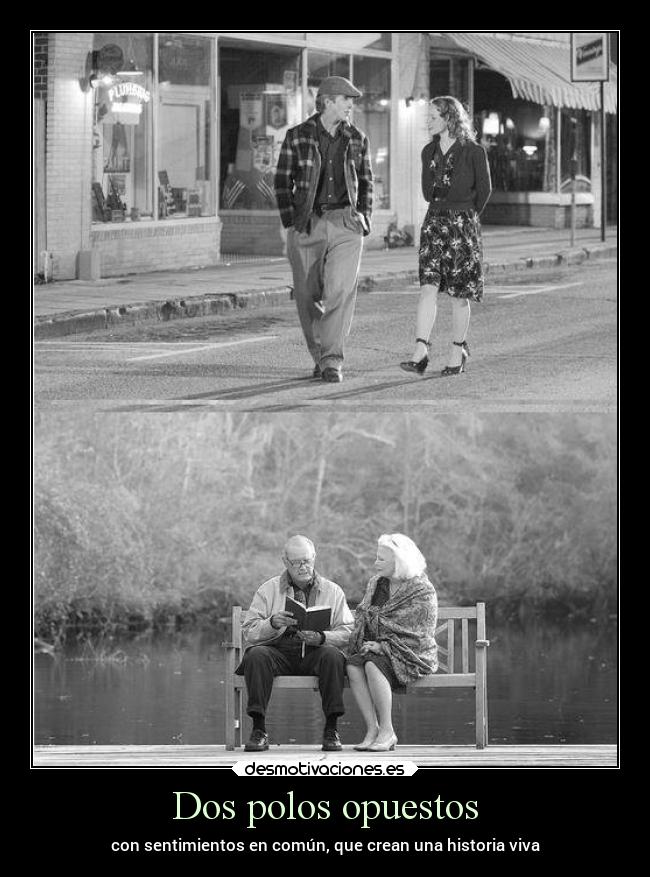 Dos polos opuestos - con sentimientos en común, que crean una historia viva