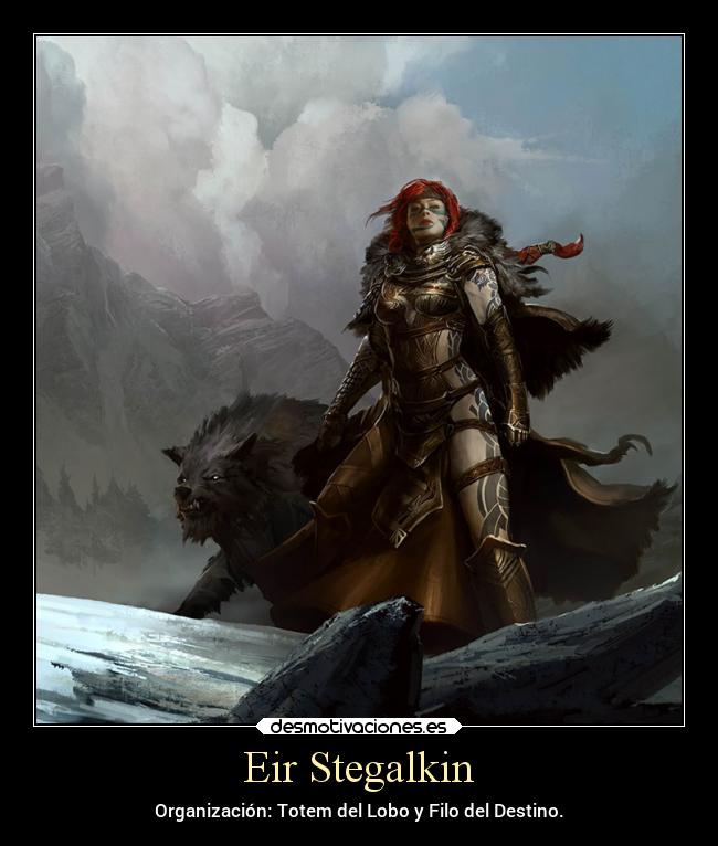 carteles videojuegos guildwars2 eir stegalkin alexkyu desmotivaciones