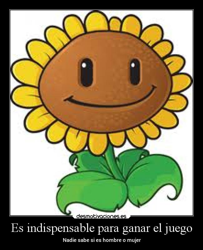 Es indispensable para ganar el juego - Nadie sabe si es hombre o mujer