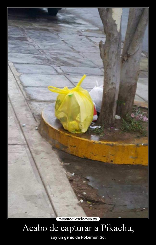Acabo de capturar a Pikachu, - 