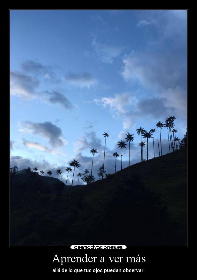 carteles alegria desmotivaciones