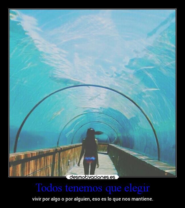 carteles alma amor algo alguien putavida esoesloquenosmantiene desmotivaciones