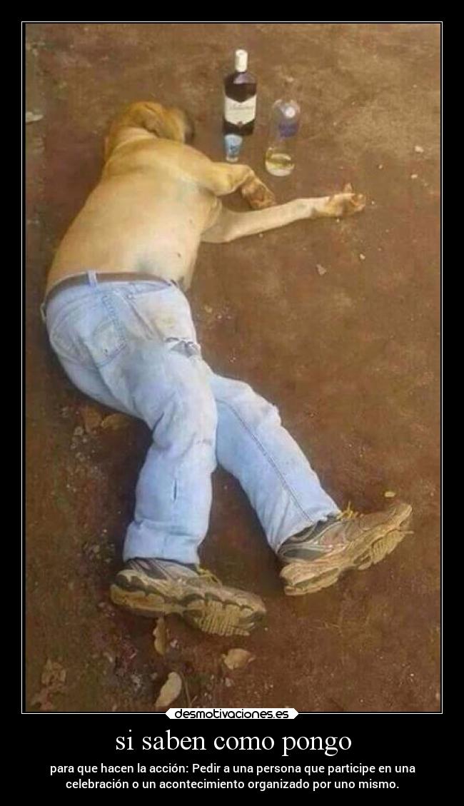 si saben como pongo -