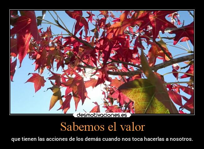 Sabemos el valor - que tienen las acciones de los demás cuando nos toca hacerlas a nosotros.