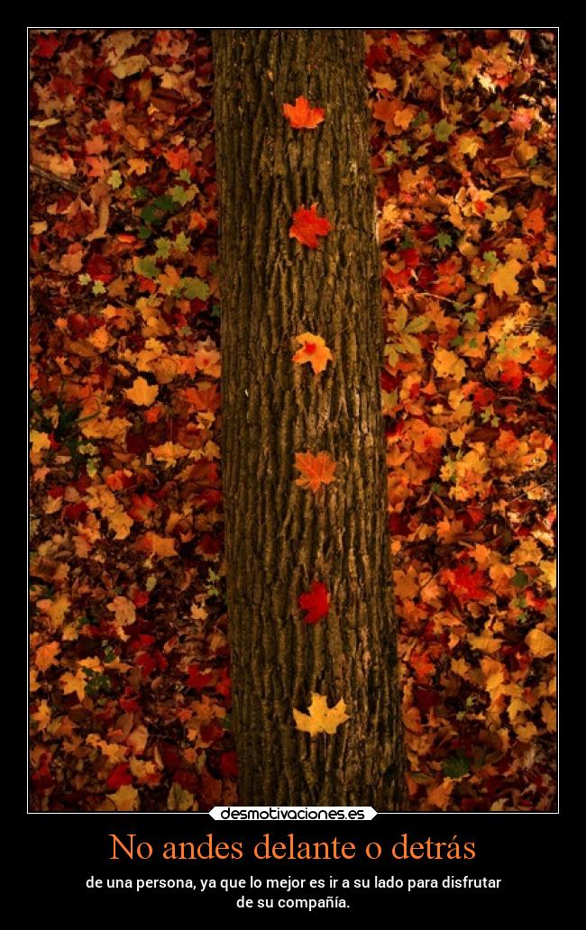 No andes delante o detrás - de una persona, ya que lo mejor es ir a su lado para disfrutar
de su compañía.