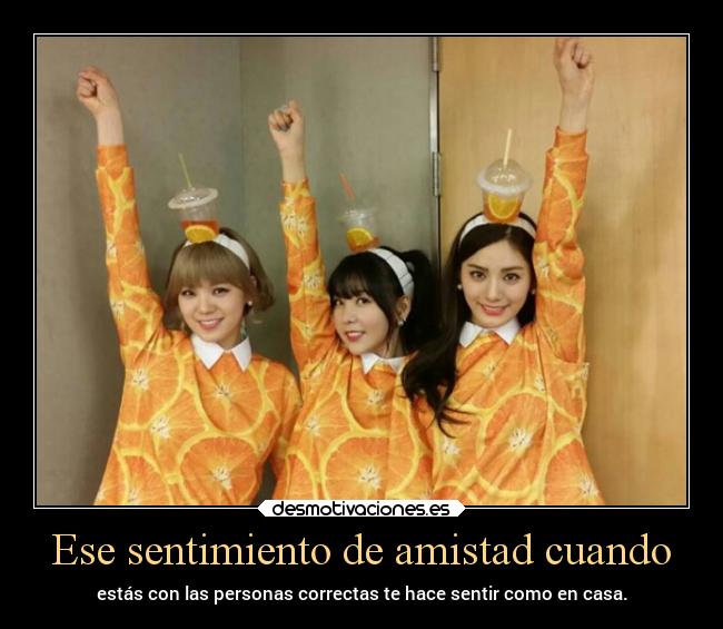 carteles amistad vida amistad sentimientos projectd desmotivaciones