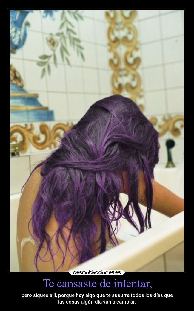 Te cansaste de intentar, -