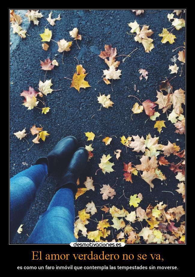 El amor verdadero no se va, - es como un faro inmóvil que contempla las tempestades sin moverse.