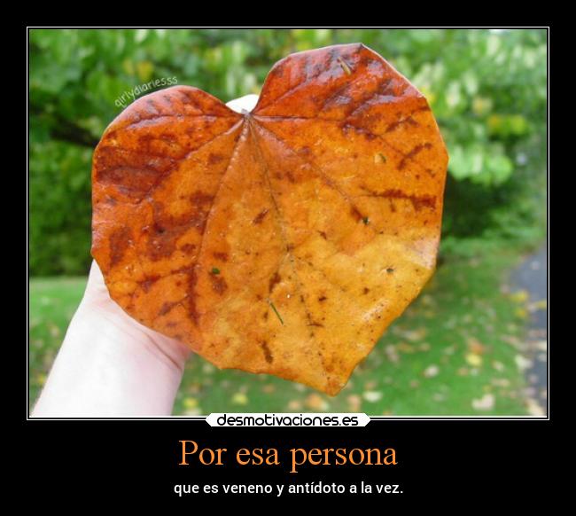 Por esa persona - que es veneno y antídoto a la vez.