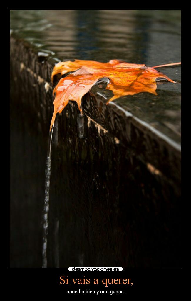 Si vais a querer, - hacedlo bien y con ganas.