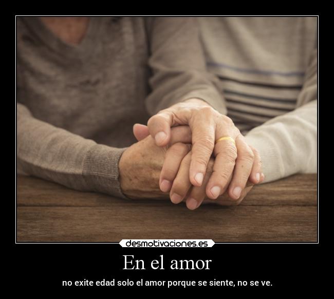 carteles amor amor frases desmotivaciones