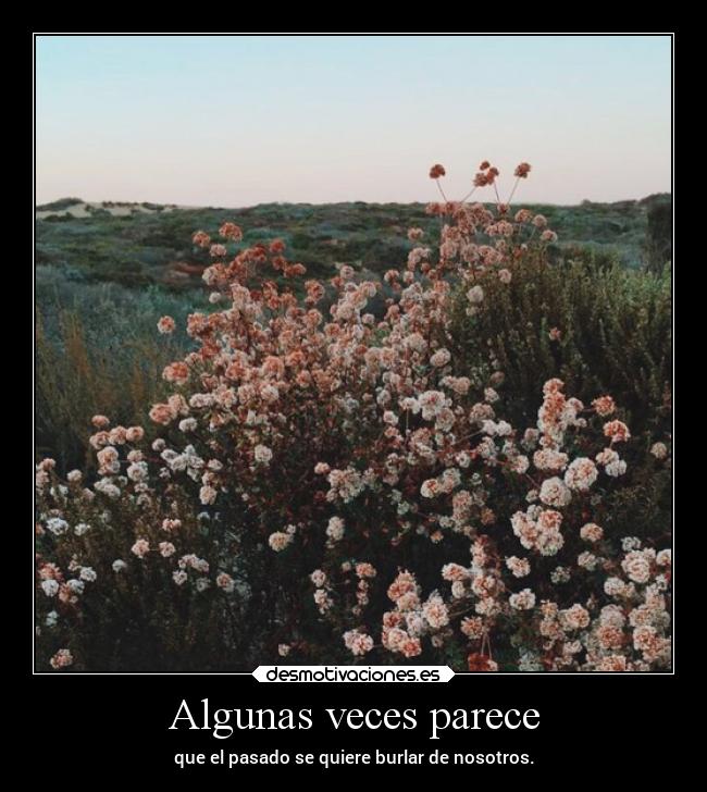 carteles amor desmotivaciones