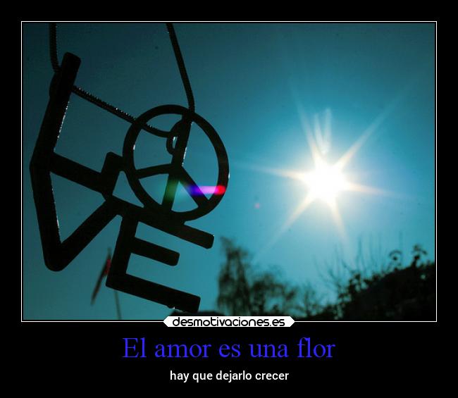 El amor es una flor -