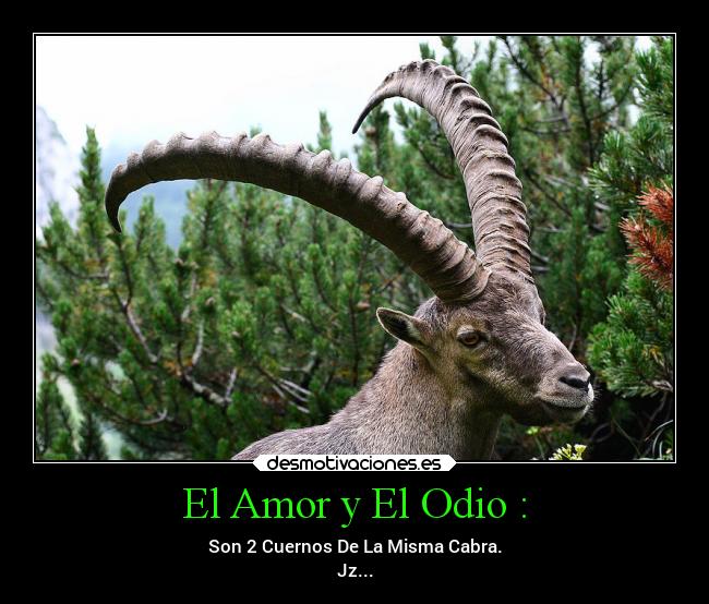 El Amor y El Odio : - Son 2 Cuernos De La Misma Cabra.
Jz...