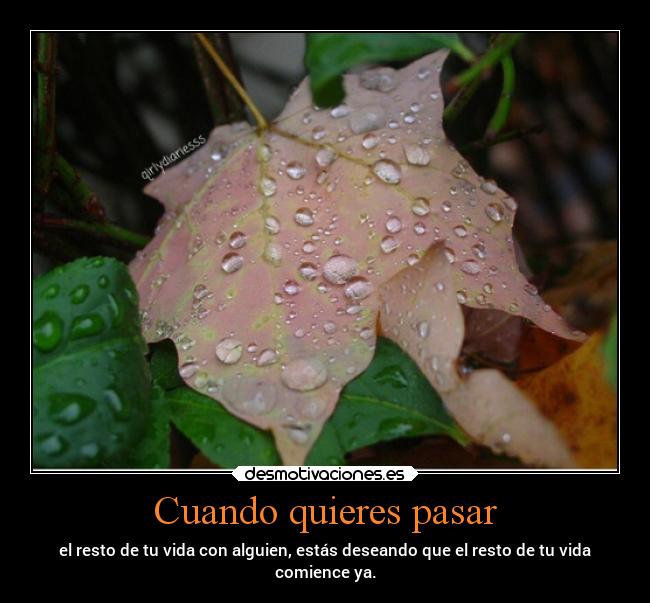 Cuando quieres pasar - el resto de tu vida con alguien, estás deseando que el resto de tu vida
comience ya.
