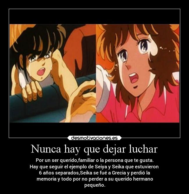 Nunca hay que dejar luchar -