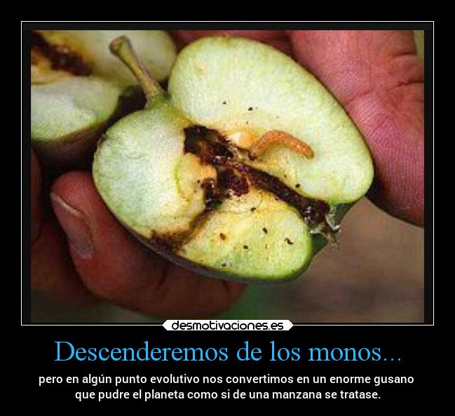 Descenderemos de los monos... - pero en algún punto evolutivo nos convertimos en un enorme gusano 
que pudre el planeta como si de una manzana se tratase.