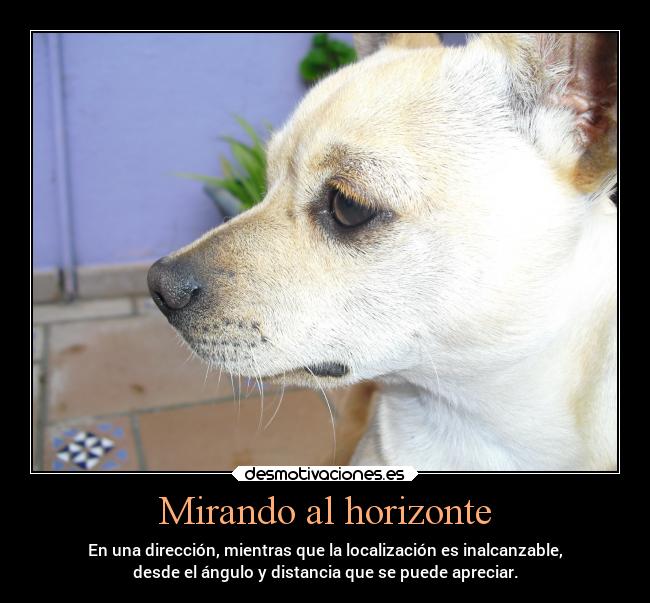 Mirando al horizonte - En una dirección, mientras que la localización es inalcanzable,
desde el ángulo y distancia que se puede apreciar.