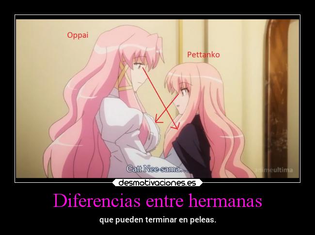 carteles anime familia zeronotsukaima louise danieldats desmotivaciones