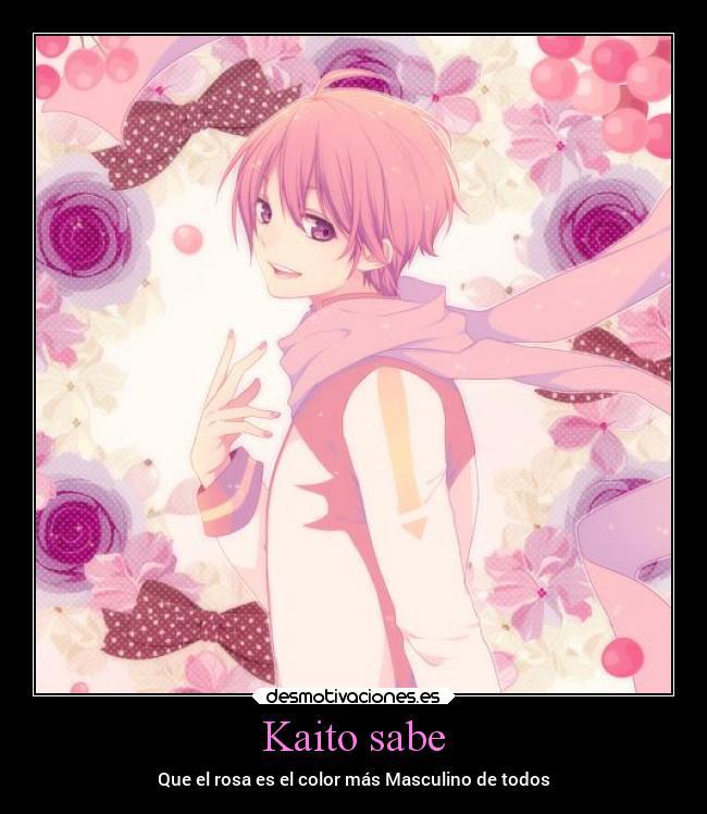 Kaito sabe -