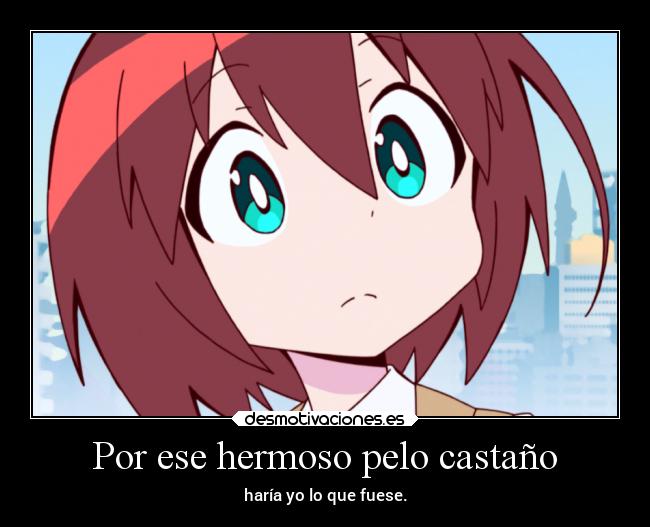 Por ese hermoso pelo castaño - haría yo lo que fuese.