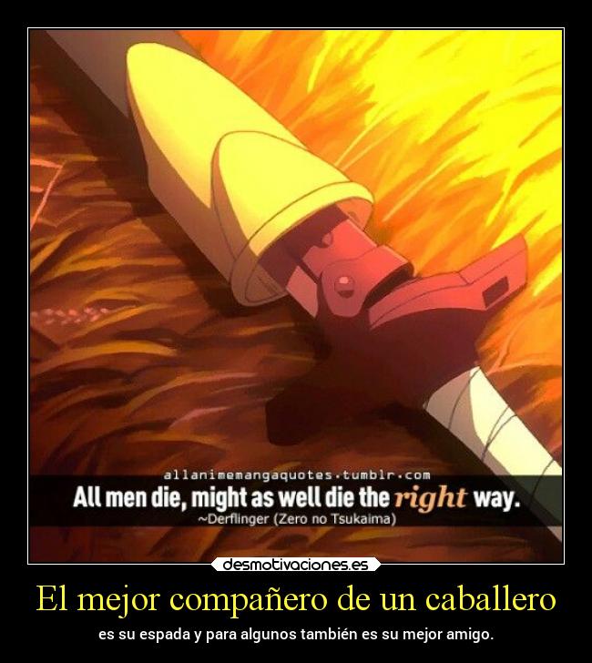 carteles anime zeronotsukaima danieldats desmotivaciones