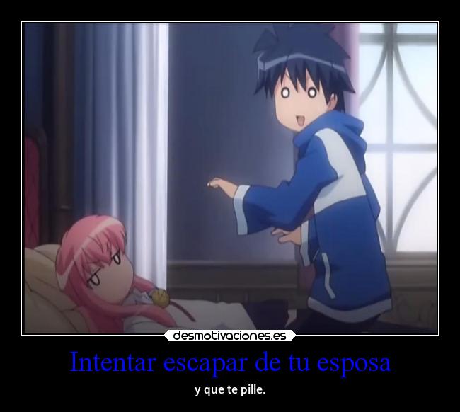 carteles anime zeronotsukaima saito louise desmotivaciones