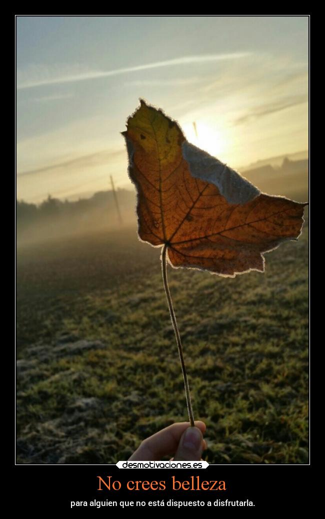 No crees belleza - para alguien que no está dispuesto a disfrutarla.