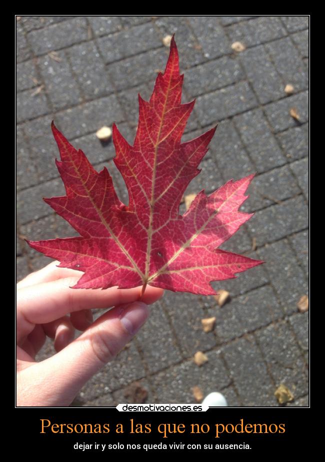 Personas a las que no podemos - dejar ir y solo nos queda vivir con su ausencia.