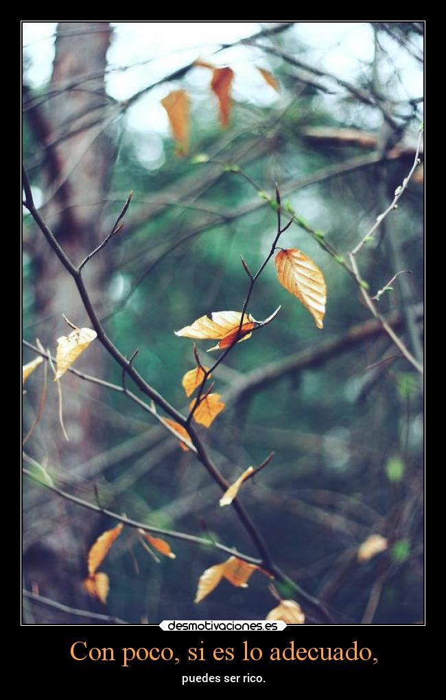 Con poco, si es lo adecuado, - puedes ser rico.