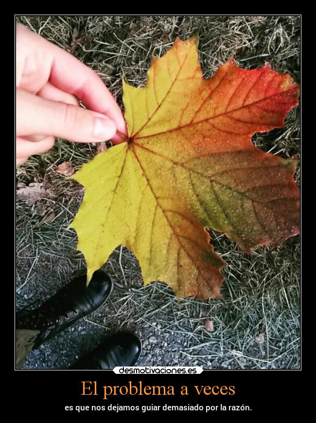 El problema a veces - es que nos dejamos guiar demasiado por la razón.