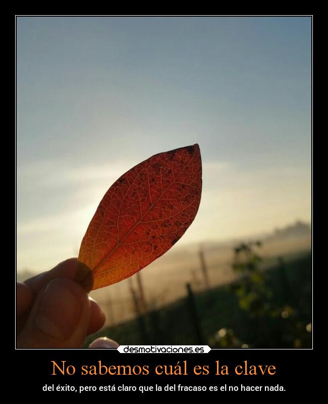 No sabemos cuál es la clave - del éxito, pero está claro que la del fracaso es el no hacer nada.