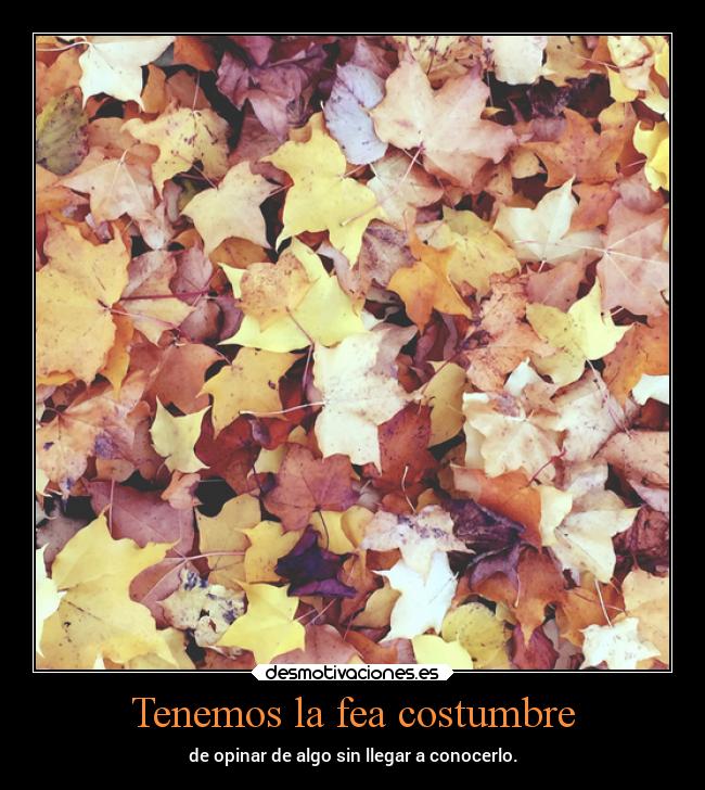 Tenemos la fea costumbre - de opinar de algo sin llegar a conocerlo.