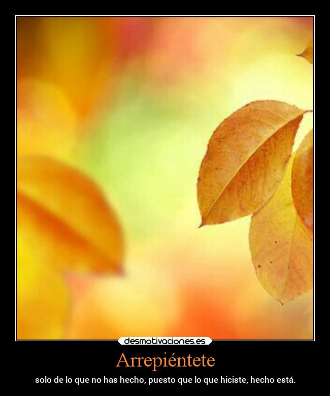 Arrepiéntete - solo de lo que no has hecho, puesto que lo que hiciste, hecho está.