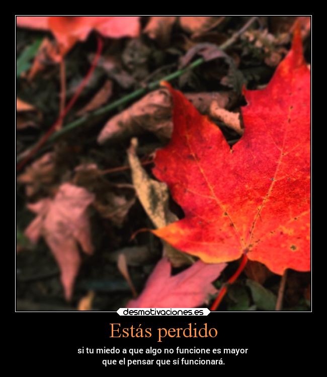 Estás perdido - si tu miedo a que algo no funcione es mayor 
que el pensar que sí funcionará.