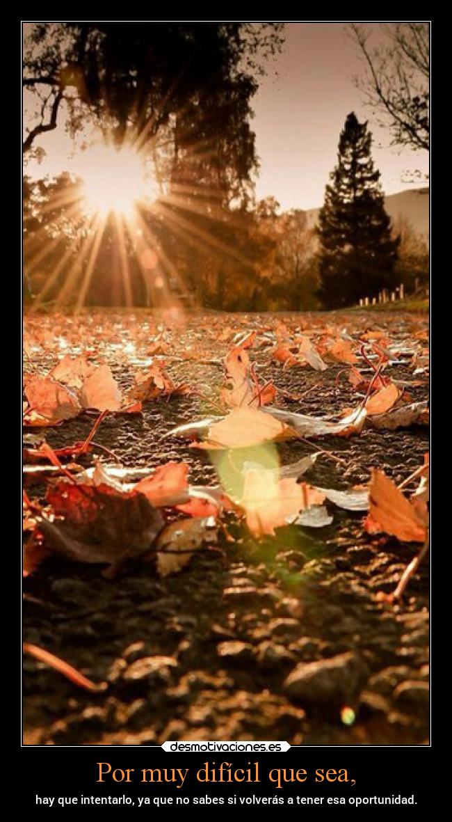 Por muy difícil que sea, - hay que intentarlo, ya que no sabes si volverás a tener esa oportunidad.