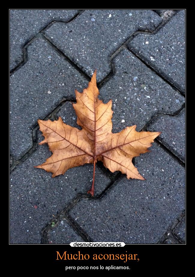 Mucho aconsejar, - pero poco nos lo aplicamos.