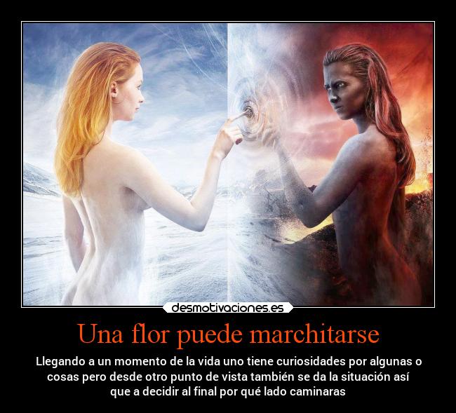 Una flor puede marchitarse - Llegando a un momento de la vida uno tiene curiosidades por algunas o
cosas pero desde otro punto de vista también se da la situación así
que a decidir al final por qué lado caminaras