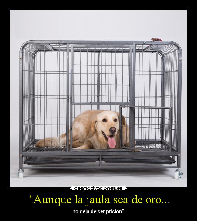 Aunque la jaula sea de oro... -