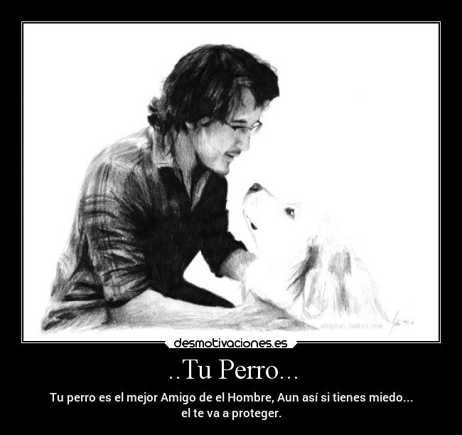 ..Tu Perro... -
