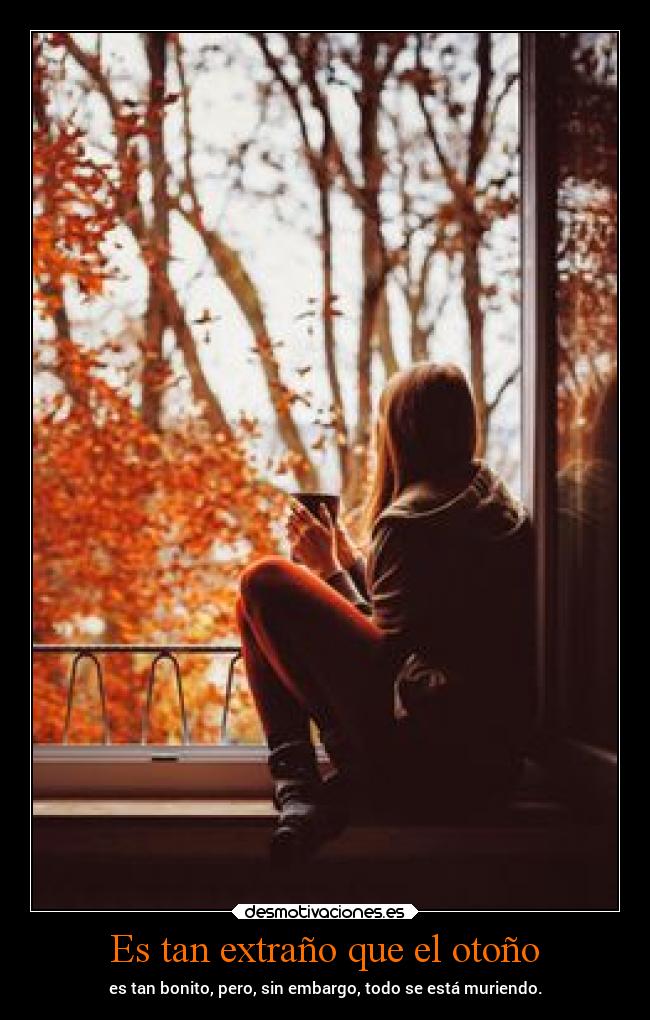 Es tan extraño que el otoño -