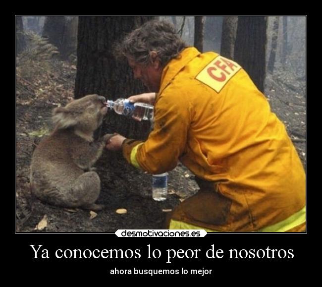 carteles confianza ayuda animales desmotivaciones