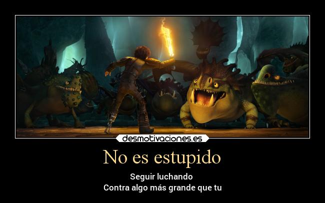 No es estupido -