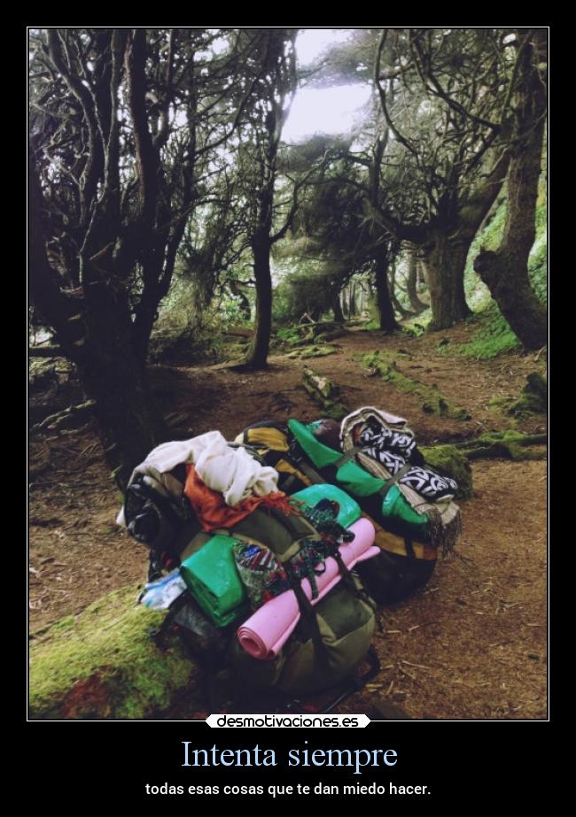 Intenta siempre - todas esas cosas que te dan miedo hacer.