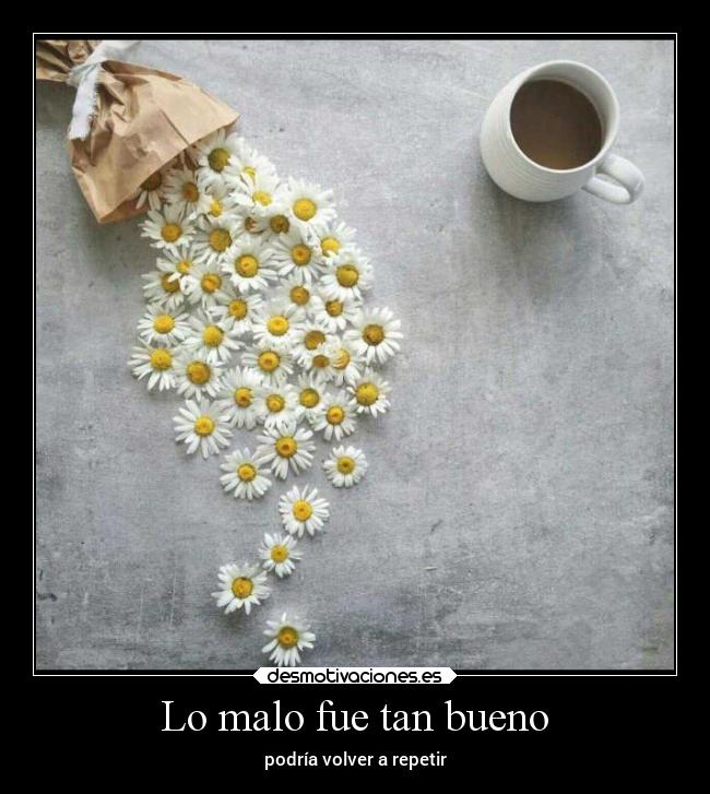 Lo malo fue tan bueno -